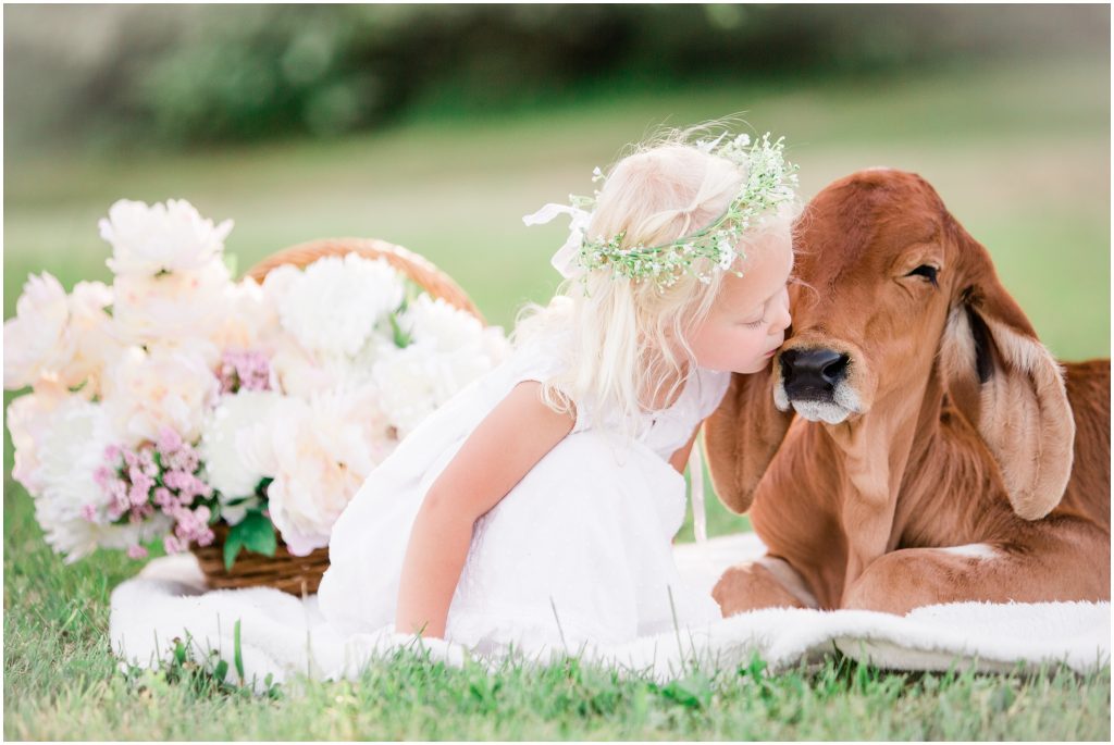 calf photoshoot in chattanooga tennessee by family photographer alyssa rachelle photography