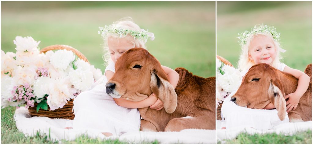 calf photoshoot in chattanooga tennessee by family photographer alyssa rachelle photography