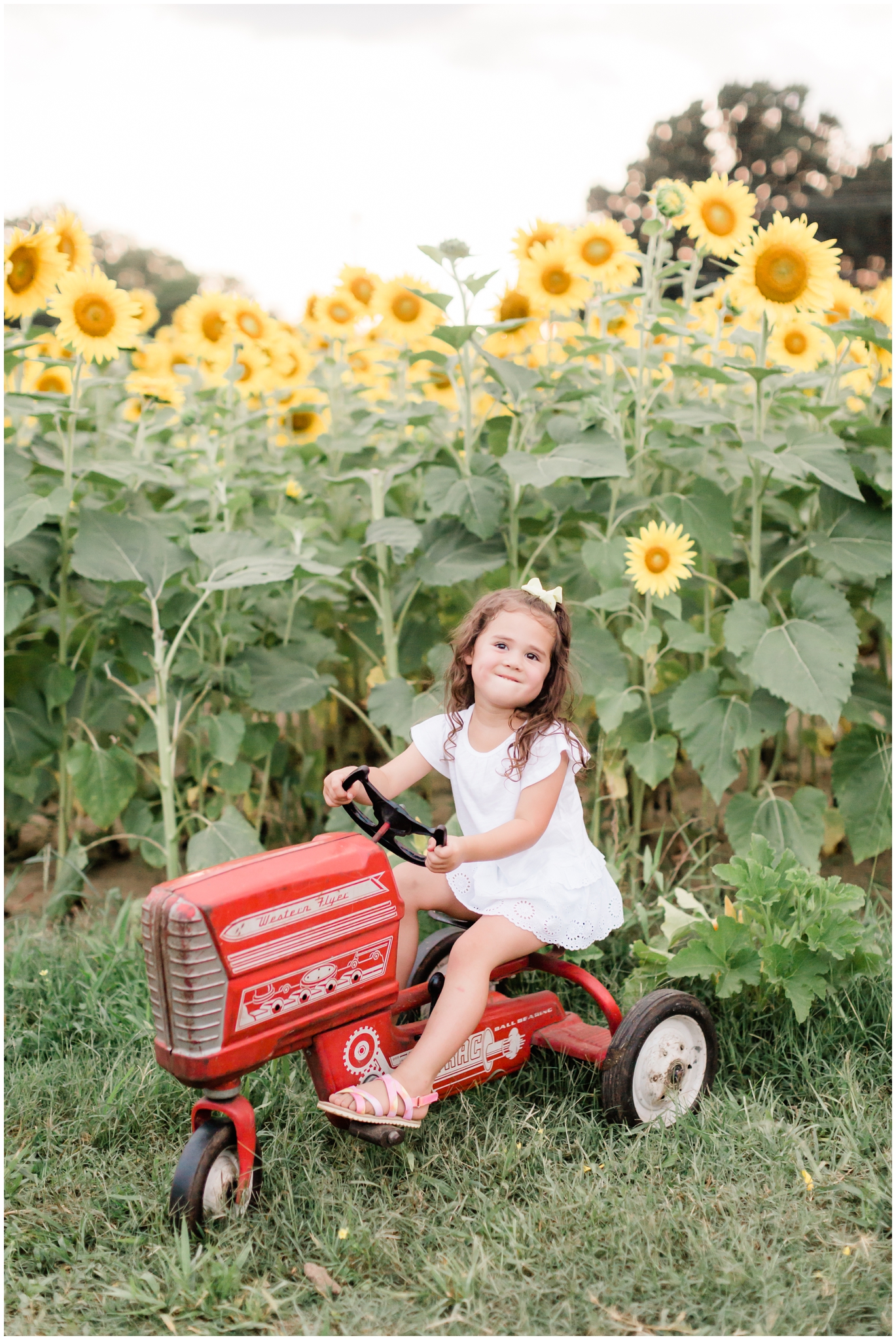 sunflower mini session with alyssa rachelle photography at red's hay farm in ooltewah, tennessee