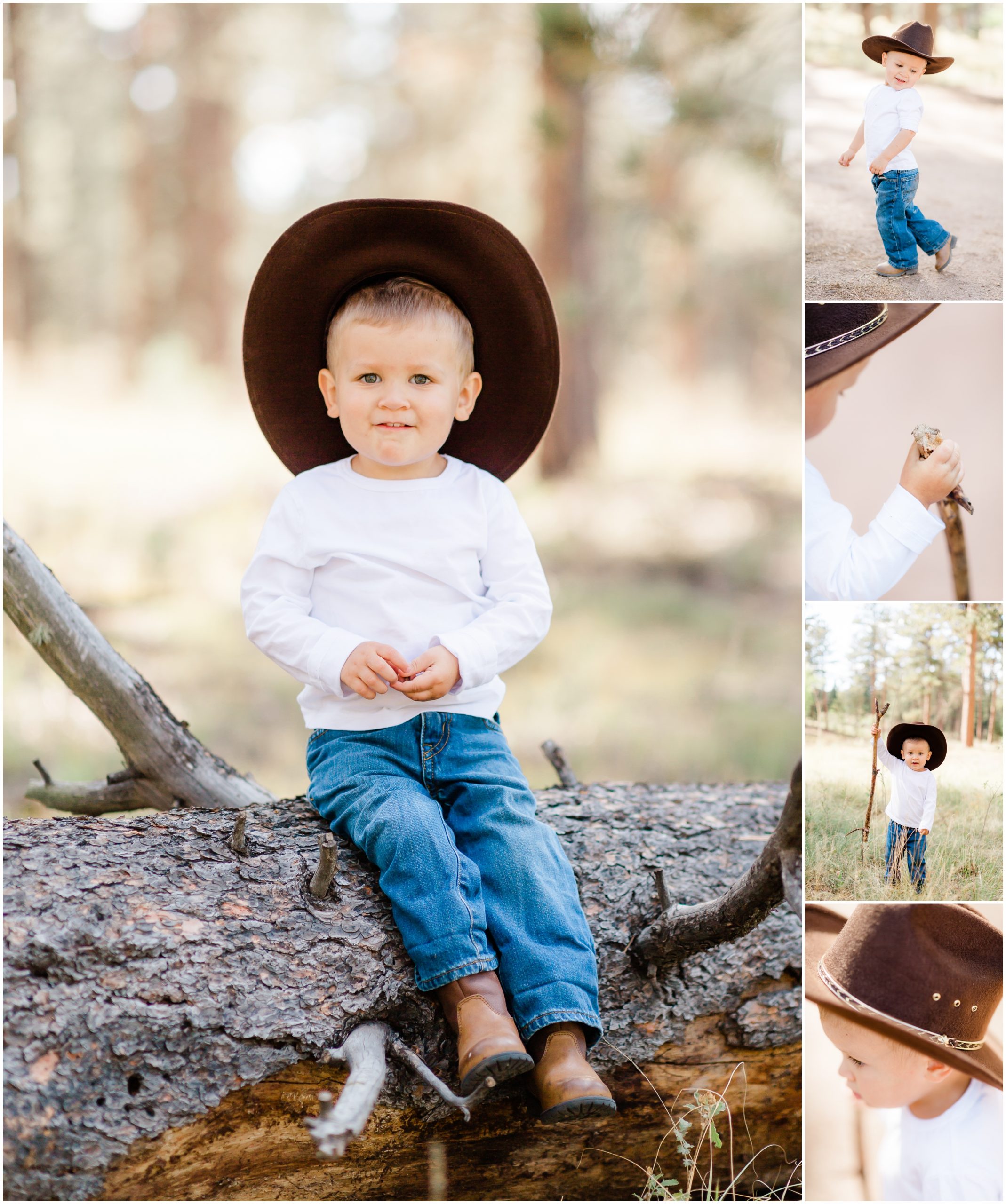 cowboy themed birthday session with alyssa rachelle photography in pike national forest colorado