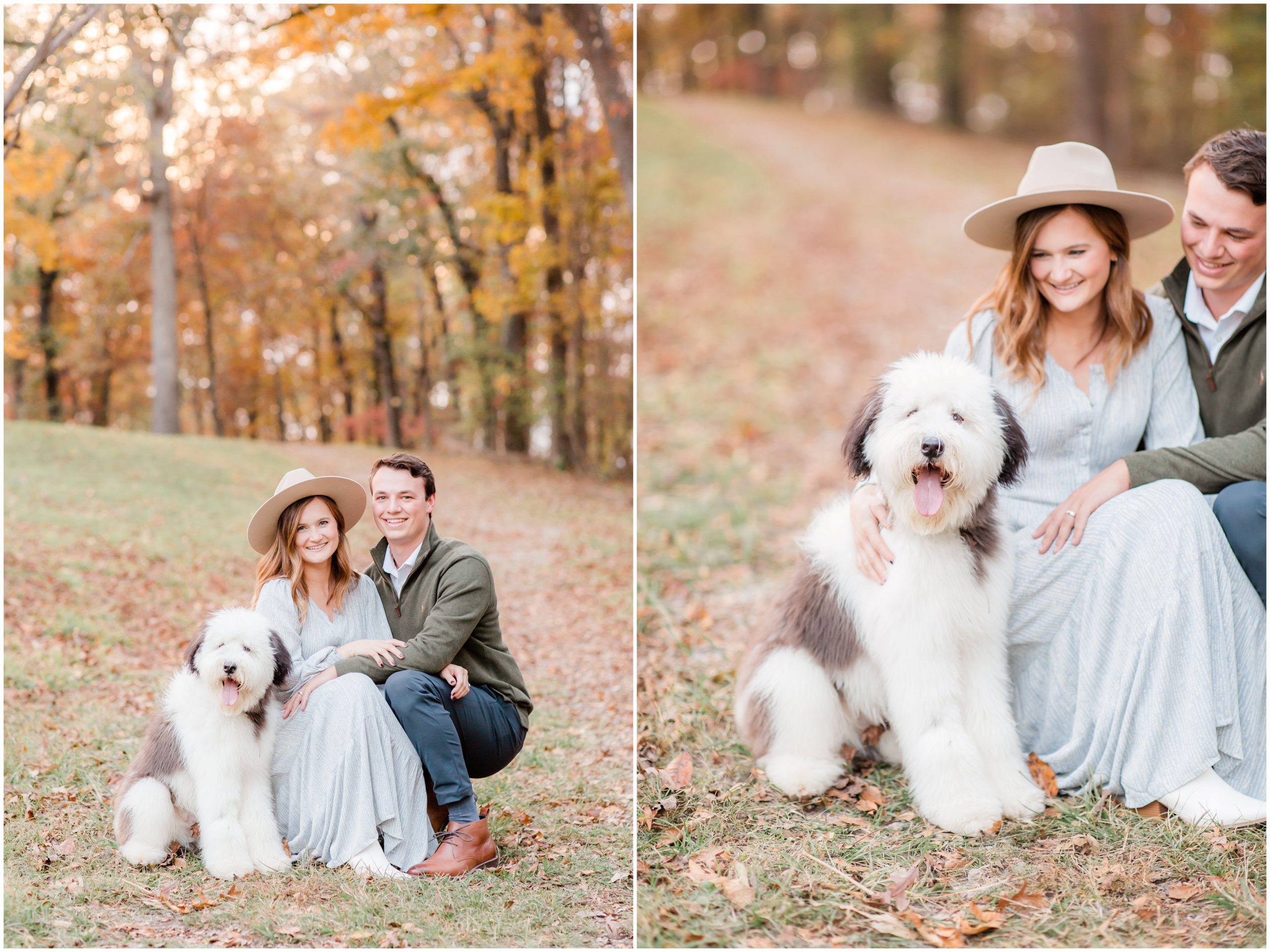 fall family session with sheepadoodle with alyssa rachelle photography in chickamauga georgia