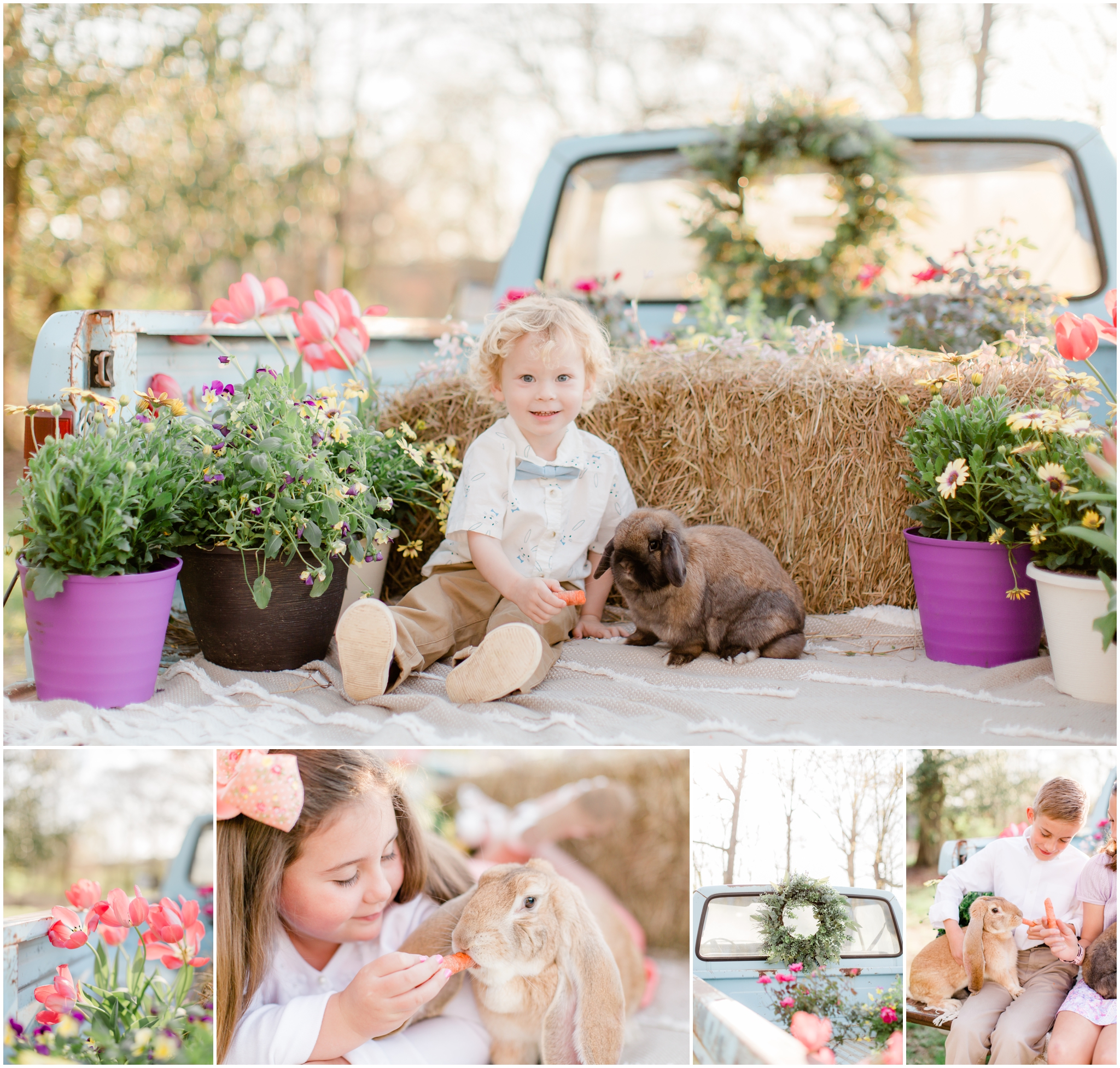 spring mini sessions with live bunnies and an antique truck with family photographer alyssa rachelle photography