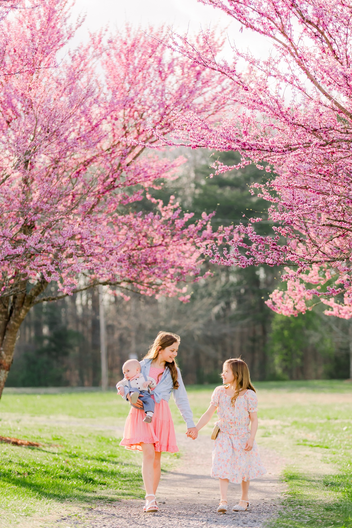 redbud blooms in chattanooga by chattanooga family photographer alyssa rachelle photography