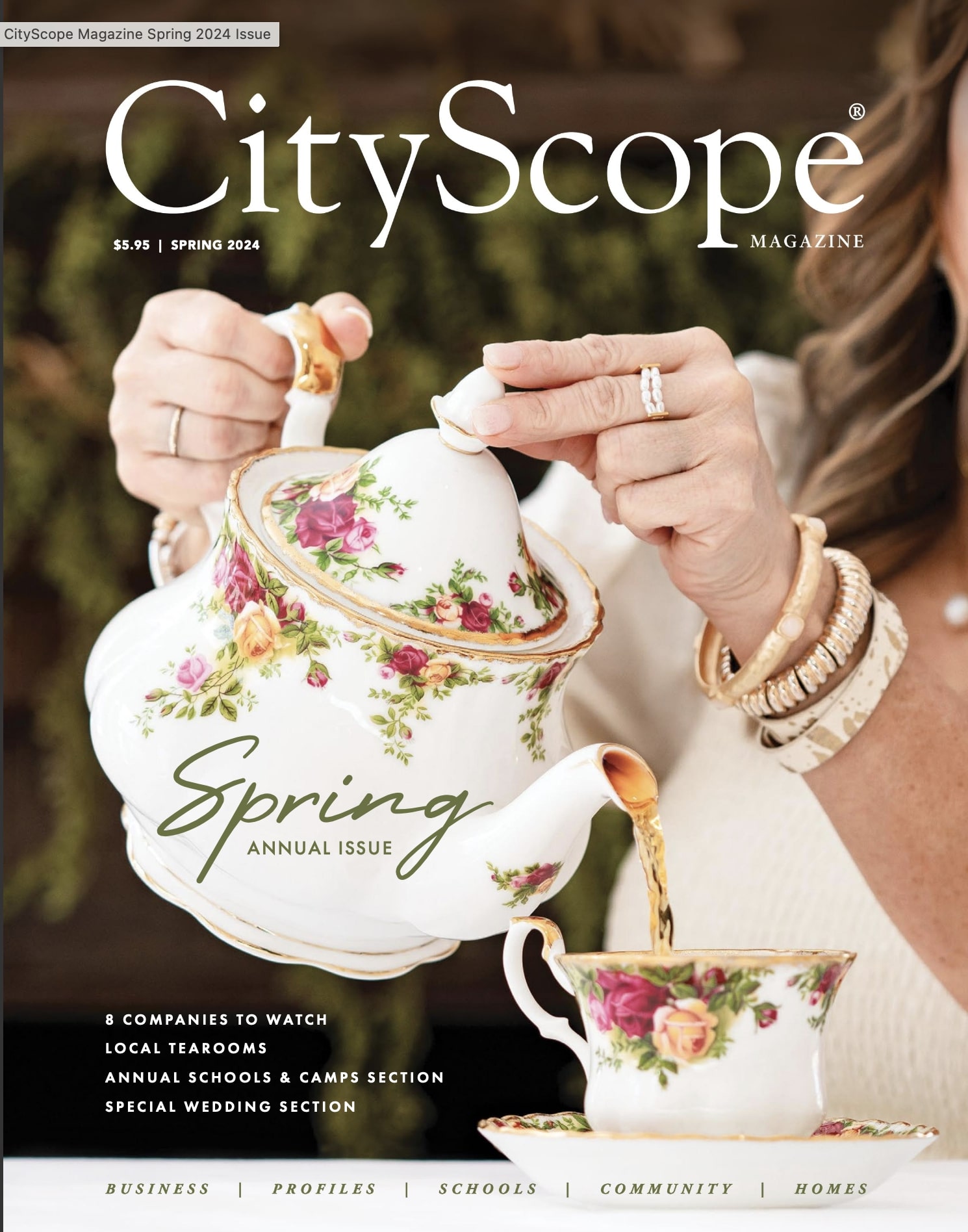 Cityscope magainze chattanooga featuring chattanooga photographer alyssa rachelle photography