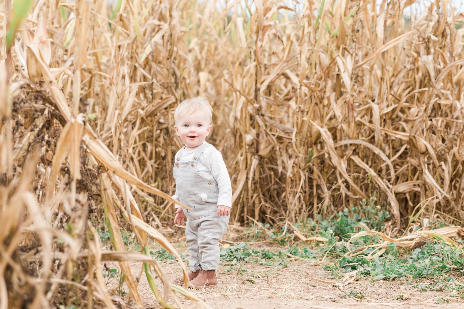 corn mazes in chattanooga by chattanooga family photographer alyssa rachelle photography