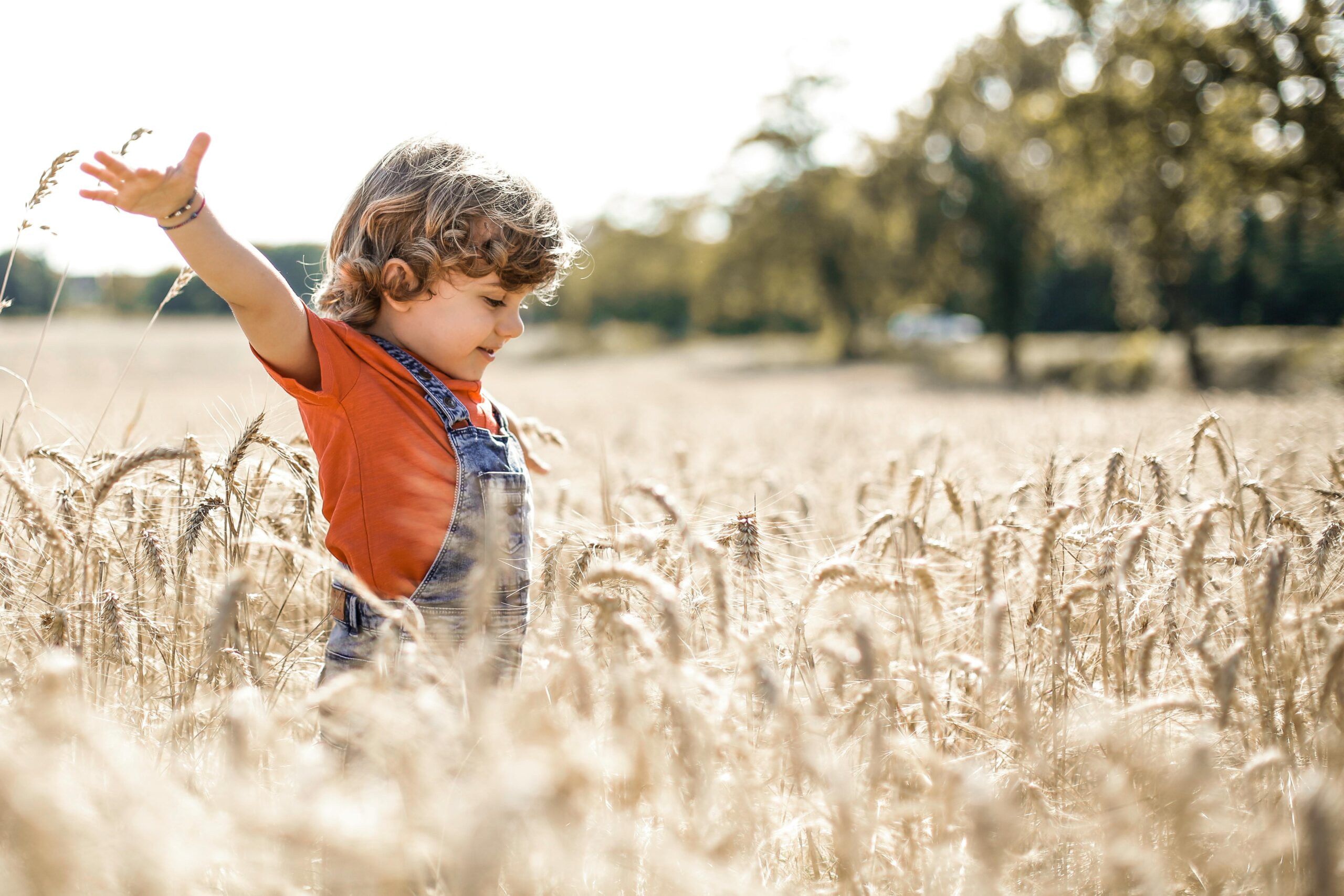 kid-friendly hikes in cleveland tn by cleveland tn family photographer alyssa rachelle photography