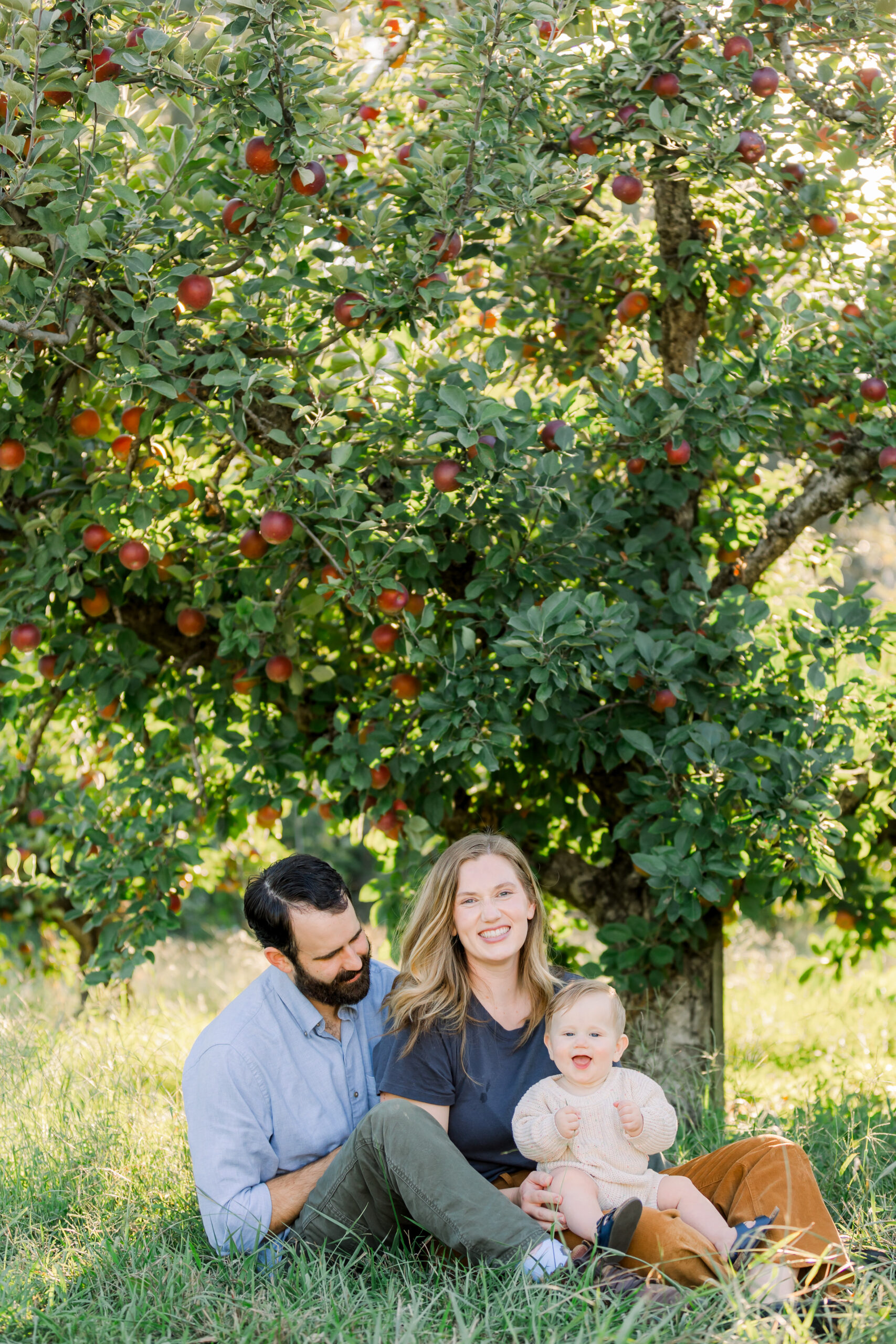 apple orchard in chattanooga photo shoot by chattanooga family photographer alyssa rachelle photography