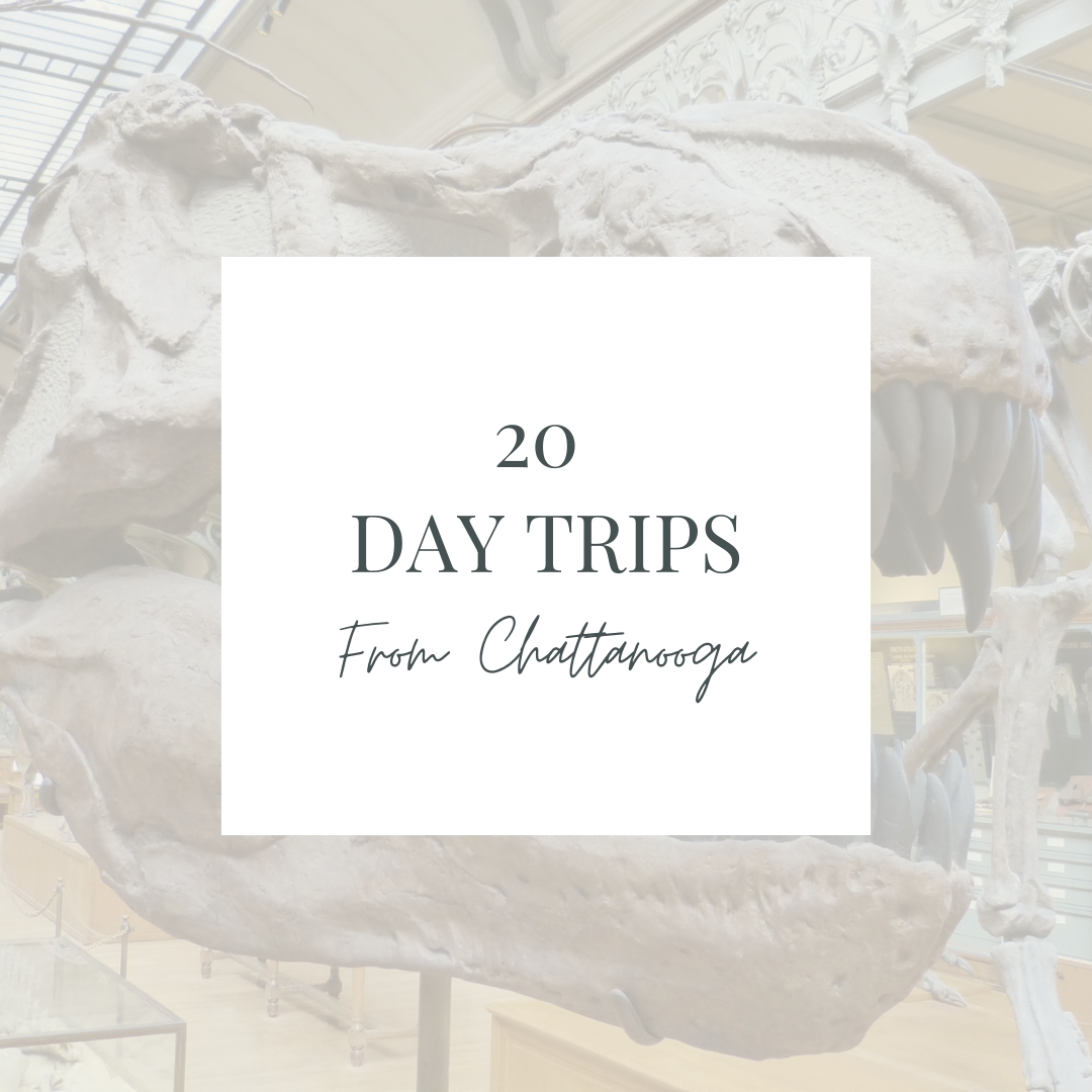 day trips from chattanooga by chattanooga family photographer alyssa rachelle photography