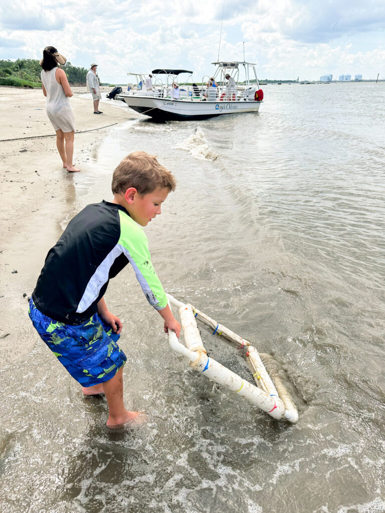 tybee island shark tooth hunting