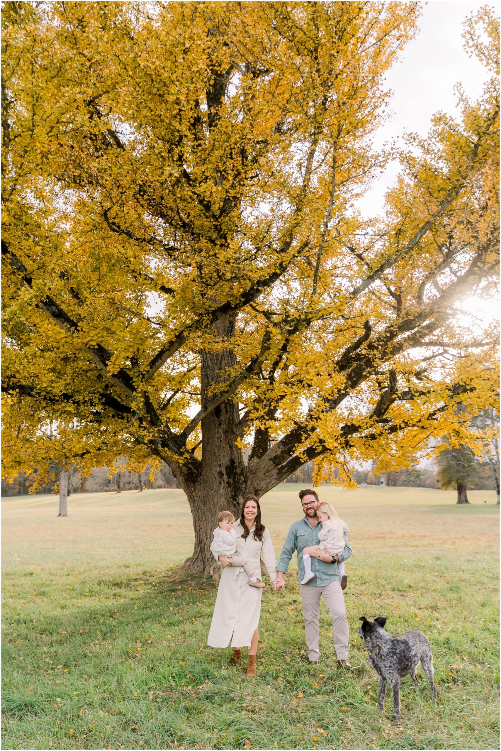 fall-gingko-tree-family-session-chattanooga-family-photographer-alyssa-rachelle-photography