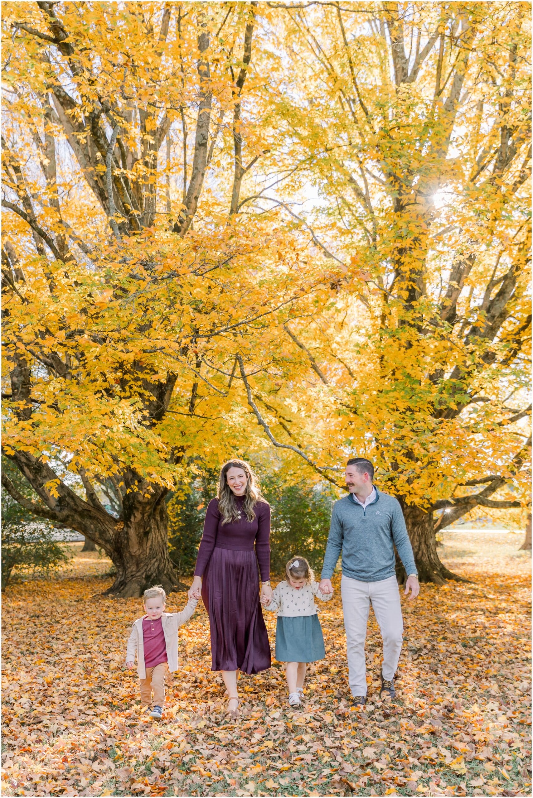 peak fall leaves photo shoot in chattanooga tennessee by chattanooga family photographer alyssa rachelle photography