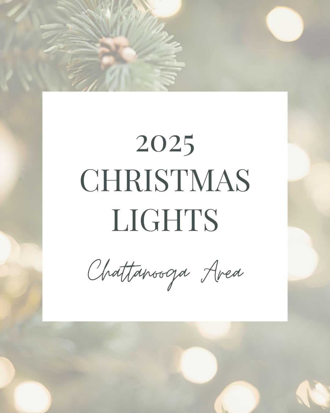 2025 christmas lights in chattanooga